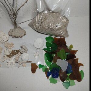 Beach Sand Sea Fan Coral Sea Glass Plus Free Mystery Bonus Gift